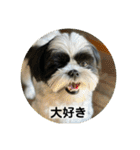 働く犬のスタンプ（個別スタンプ：38）