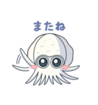 エギング好きの為のアオリイカ挨拶スタンプ（個別スタンプ：20）