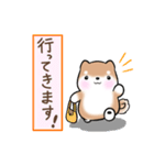 まるまる豆柴の家族連絡専用スタンプ（個別スタンプ：1）