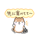 まるまる豆柴の家族連絡専用スタンプ（個別スタンプ：6）