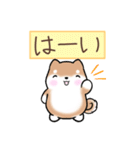 まるまる豆柴の家族連絡専用スタンプ（個別スタンプ：10）