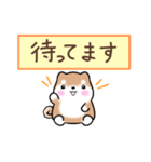 まるまる豆柴の家族連絡専用スタンプ（個別スタンプ：16）