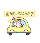 まるまる豆柴の家族連絡専用スタンプ（個別スタンプ：19）
