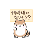 まるまる豆柴の家族連絡専用スタンプ（個別スタンプ：20）