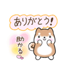 まるまる豆柴の家族連絡専用スタンプ（個別スタンプ：22）