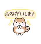まるまる豆柴の家族連絡専用スタンプ（個別スタンプ：24）