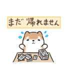 まるまる豆柴の家族連絡専用スタンプ（個別スタンプ：25）