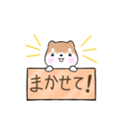 まるまる豆柴の家族連絡専用スタンプ（個別スタンプ：31）