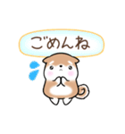 まるまる豆柴の家族連絡専用スタンプ（個別スタンプ：32）