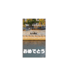 動いているマスターキー（個別スタンプ：13）