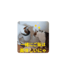 動画でGO☆（個別スタンプ：6）
