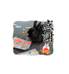 こっちゃん35（個別スタンプ：4）