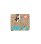 私の可愛いレオ君スタンプ（個別スタンプ：1）