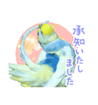 おしゃべりインコのチョコちゃん3（個別スタンプ：15）