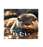 カワウソでごあいさつ（個別スタンプ：6）