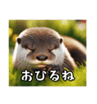 カワウソでごあいさつ（個別スタンプ：7）