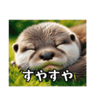 カワウソでごあいさつ（個別スタンプ：8）