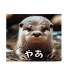 カワウソでごあいさつ（個別スタンプ：11）