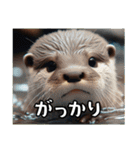 カワウソでごあいさつ（個別スタンプ：12）