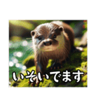 カワウソでごあいさつ（個別スタンプ：13）