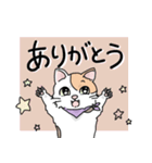 にゃんずスタンプ★（個別スタンプ：1）
