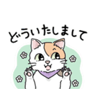 にゃんずスタンプ★（個別スタンプ：3）