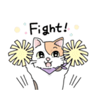 にゃんずスタンプ★（個別スタンプ：5）