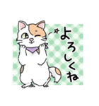 にゃんずスタンプ★（個別スタンプ：6）