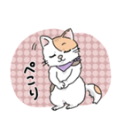 にゃんずスタンプ★（個別スタンプ：7）