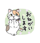 にゃんずスタンプ★（個別スタンプ：8）