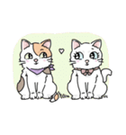 にゃんずスタンプ★（個別スタンプ：14）