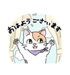 にゃんずスタンプ★（個別スタンプ：16）
