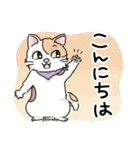 にゃんずスタンプ★（個別スタンプ：17）