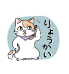 にゃんずスタンプ★（個別スタンプ：20）