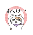 にゃんずスタンプ★（個別スタンプ：22）