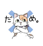 にゃんずスタンプ★（個別スタンプ：23）
