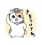 にゃんずスタンプ★（個別スタンプ：29）