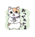 にゃんずスタンプ★（個別スタンプ：30）