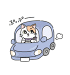 にゃんずスタンプ★（個別スタンプ：31）