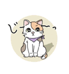 にゃんずスタンプ★（個別スタンプ：35）