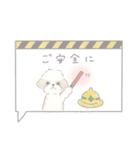 吹出しで一言シーズー/ゴールド/ショート（個別スタンプ：1）