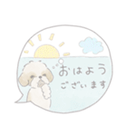吹出しで一言シーズー/ゴールド/ショート（個別スタンプ：2）