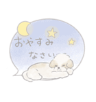 吹出しで一言シーズー/ゴールド/ショート（個別スタンプ：3）