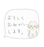 吹出しで一言シーズー/ゴールド/ショート（個別スタンプ：15）