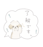 吹出しで一言シーズー/ゴールド/ショート（個別スタンプ：18）