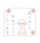 吹出しで一言シーズー/ゴールド/ショート（個別スタンプ：22）