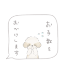 吹出しで一言シーズー/ゴールド/ショート（個別スタンプ：31）