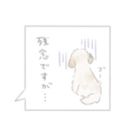 吹出しで一言シーズー/ゴールド/ショート（個別スタンプ：37）