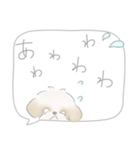 吹出しで一言シーズー/ゴールド/ショート（個別スタンプ：38）