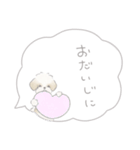吹出しで一言シーズー/ゴールド/ショート（個別スタンプ：39）